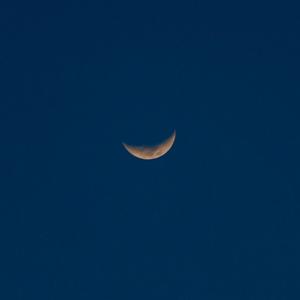 午夜福利免费区在线观看
